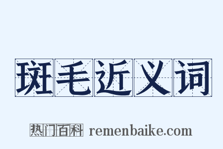 斑毛近义词是什么意思的图片